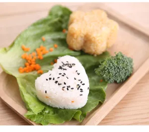Vista dettagliata di polpette di riso a cuore e fiore fatte con stampo per sushi bento.
