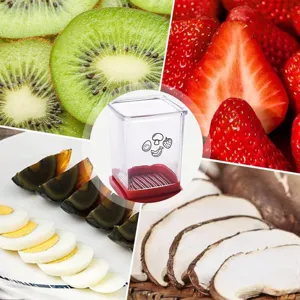 Kitchen fruit and vegetable slicer with stainless steel wires and transparent box.