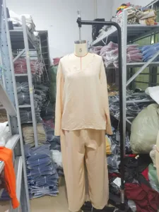 Casual V-neck long sleeve top and long pants set for women, comfortable daily wear.