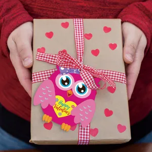 Valentine's Day pink owl DIY greeting card gift box decoration set for holiday celebration