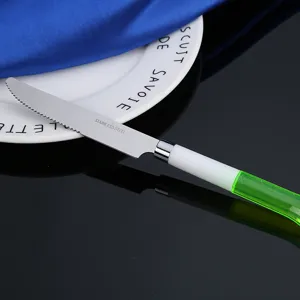 Coltello da tavola in acciaio inossidabile con manico in plastica verde e bianca, lama dentata.