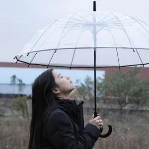 Διαφανής Ομπρέλα με Μακρύ Χερούλι 16 Μπανέλες Αυτόματη Βρετανικού Στυλ Πλαστική Αντιανεμική Ομπρέλα για Ενήλικες