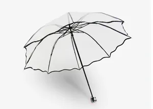 Clear transparent umbrella with stylish black trim for optimal daily rain protection.