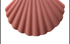 Silicone seashell pot lid handle cover detail shot, heat resistant kitchen anti-scald clip.