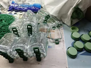 Transparenter Salat-Pod-Vorratsbehälter aus Kunststoff mit grünem, auslaufsicherem Klappverschluss.