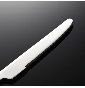 Close-up detail of stainless steel steak knife blade, mirror polished finish, sharp serrated edge.