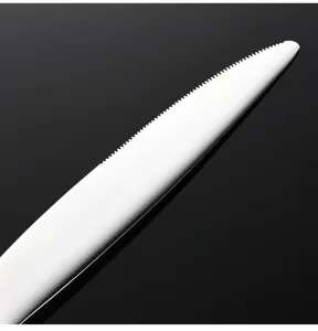Coltello da tavola in acciaio inossidabile dettaglio, lama bianca con bordo dentato fine.