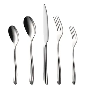 Set di posate da 5 pezzi in acciaio inossidabile 430 con coltello forchette e cucchiai.