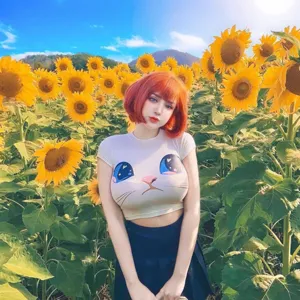Top corto de manga corta para mujer con estampado de cara de gato verano casual shirt
