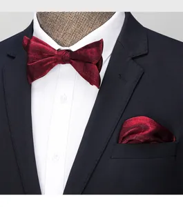 Conjunto de pajarita y pañuelo mate rojo vino clásico para traje formal de boda de hombre.
