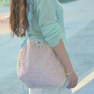 Spring new nylon mesh crossbody shoulder bag with pink gingham inner pouch for women daily use.