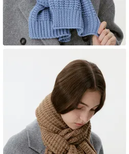Écharpe en tricot épaisse et douillette pour femme, cache-cou chaud d'hiver style élégant chic.