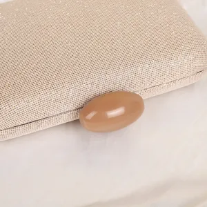 Close-up of elegant evening clutch with sparkling glitter finish and glossy acrylic clasp.