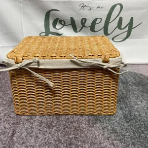 Cesta de almacenamiento de ratán sintético hecha a mano con tapa para el hogar ideal.