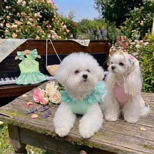 Estate nuovo stile dopamina vestito per animali domestici gatto cane gilet dettaglio
