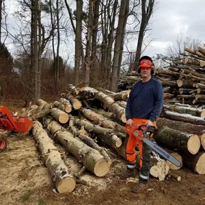 Pantaloni di sicurezza per motosega forestale mostrati in scena di disboscamento arancioni.