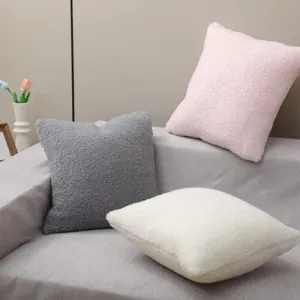 Oreiller décoratif en peluche douce pour canapé, housse de coussin confortable et moelleuse.