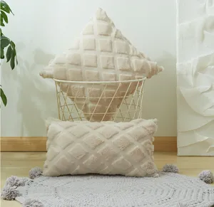 Gedetailleerd uitzicht op beige 3D raster pluche kussen en lendenkussen in interieur.