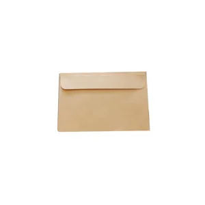 Busta in carta kraft marrone retro per cartoline, design semplice, tinta unita neutra.