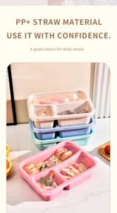 Boîte à bento en paille de blé à 3 compartiments avec couvercle pour repas quotidiens.