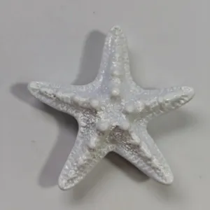 White starfish charm detail view, textured surface for hole bag accessory or pendant.