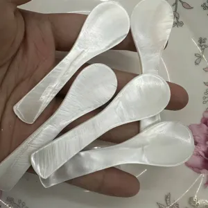 Cuchara de Concha de Nácar Natural Cuchara Pequeña para Mascarilla Facial Para Café Condimento Cocina Herramientas de Belleza