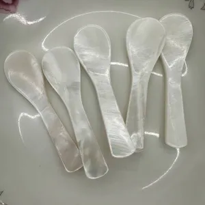 Vista detallada de mini cucharas de nácar natural para café y mascarillas faciales