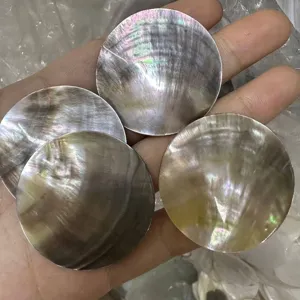 Nahaufnahme der natürlichen irisierenden Textur runder Muschelscheiben für Schmuck.