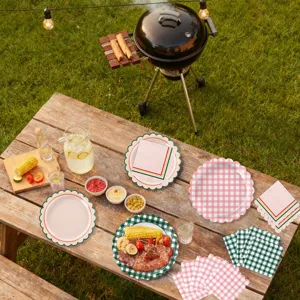 Scalloped paper plates and plaid napkins party tableware set for outdoor picnic decoration.