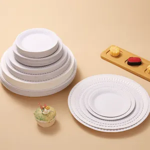 Vue détaillée d'assiettes en carton jetables blanches, tailles variées, idéales pour fêtes et loisirs.