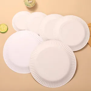 Assiettes en carton jetables blanches pour fête anniversaire DIY peinture art table