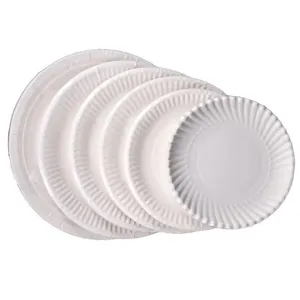 Set d'assiettes en carton jetables blanches, tailles assorties pour fête et bricolage DIY.