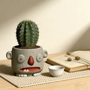 Grazioso vaso di fiori in cemento con viso simpatico per piante succulente e decorazione.