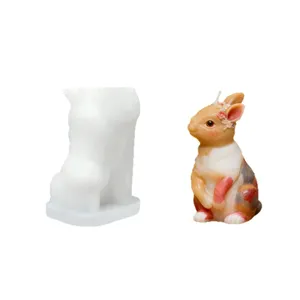 Set stampo candela in silicone coniglietto Pasqua, regalo decorazione animale fai da te.