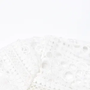 Vue détaillée du tissu de broderie en dentelle blanche élégante avec un beau travail.