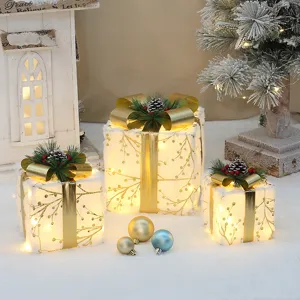 Ensemble de boîtes cadeaux de Noël lumineuses boîtes décoratives illuminées pour décoration