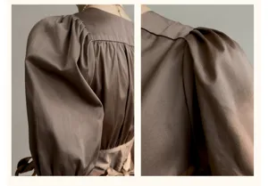 Robe longue française à manches bouffantes avec plis d'épaule exquis et esthétique marron.