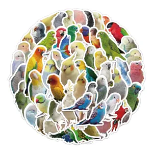 Primo piano dettagliato di adesivi colorati e realistici di pappagalli per decorare