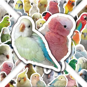 100pz Adesivi Pappagallo Realistico Impermeabile Vinile Decalcomania per Bottiglia Valigia