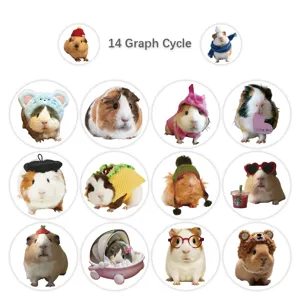 Süße Meerschweinchen-Rollenaufkleber für Scrapbooking und Wasserflaschendekoration, Tiermotive.