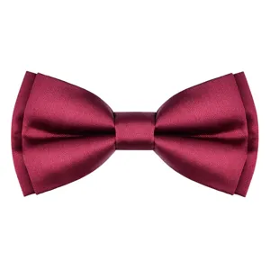 Nœud Papillon Formel d'Affaires en Soie de Polyester pour Hommes Nœud Papillon Jacquard Couleur Unie Classique pour Fête de Mariage Costume de Marié