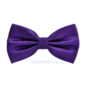Purple textured bow tie detail showing fine grid pattern and neat shape for formal wear