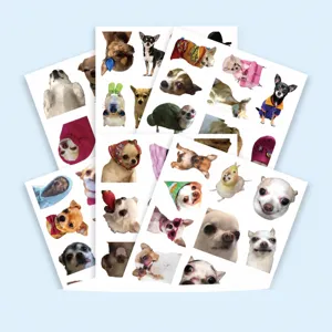 Cute Chihuahua waterproof graffiti stickers pack, 60 pieces funny meme decals for laptop cup.