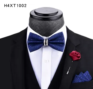 Set papillon con strass fazzoletto e spilla da uomo matrimonio abito formale elegante