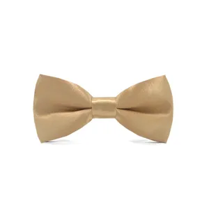 Close-up detail of the classic golden satin children bow tie, smooth texture and neat shape.