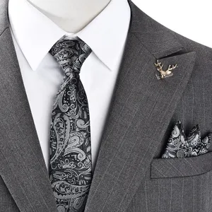 Mens Paisley Tie Pocket Square Set Retro Business Suit Accessories British Style