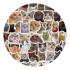 Katzen Meme Aufkleber 100 Stueck lustige niedliche wasserdichte Vinyl Sticker