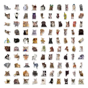 100Stk lustige Katzen Meme Aufkleber wasserdicht süße Cartoon Sticker für Koffer