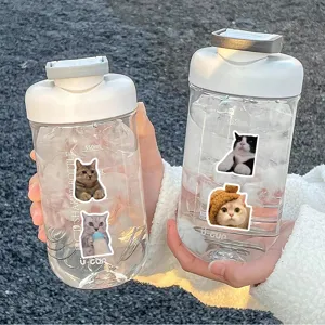 Klare Plastik-Shaker-Flasche mit süßen Katzen-Meme-Aufklebern, 550ml tragbare Tasse Detail