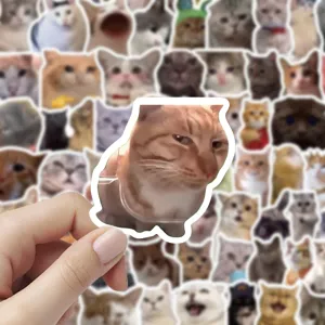 Adesivi gatto meme 100pz divertenti simpatici adesivi impermeabili in vinile pc
